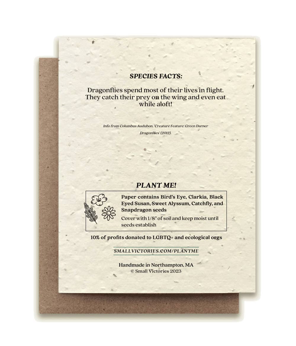 Small Victories - Green Darner Dragonfly Plantable Wildflower Seed Card - Dear John