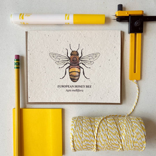 Small Victories - Honey Bee Plantable Wildflower Seed Card - Dear John