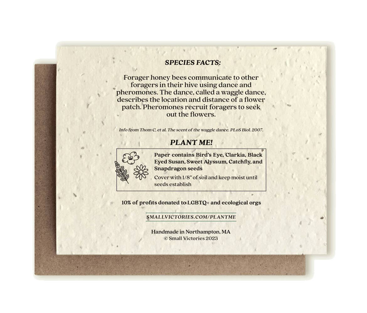 Small Victories - Honey Bee Plantable Wildflower Seed Card - Dear John