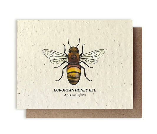 Small Victories - Honey Bee Plantable Wildflower Seed Card - Dear John