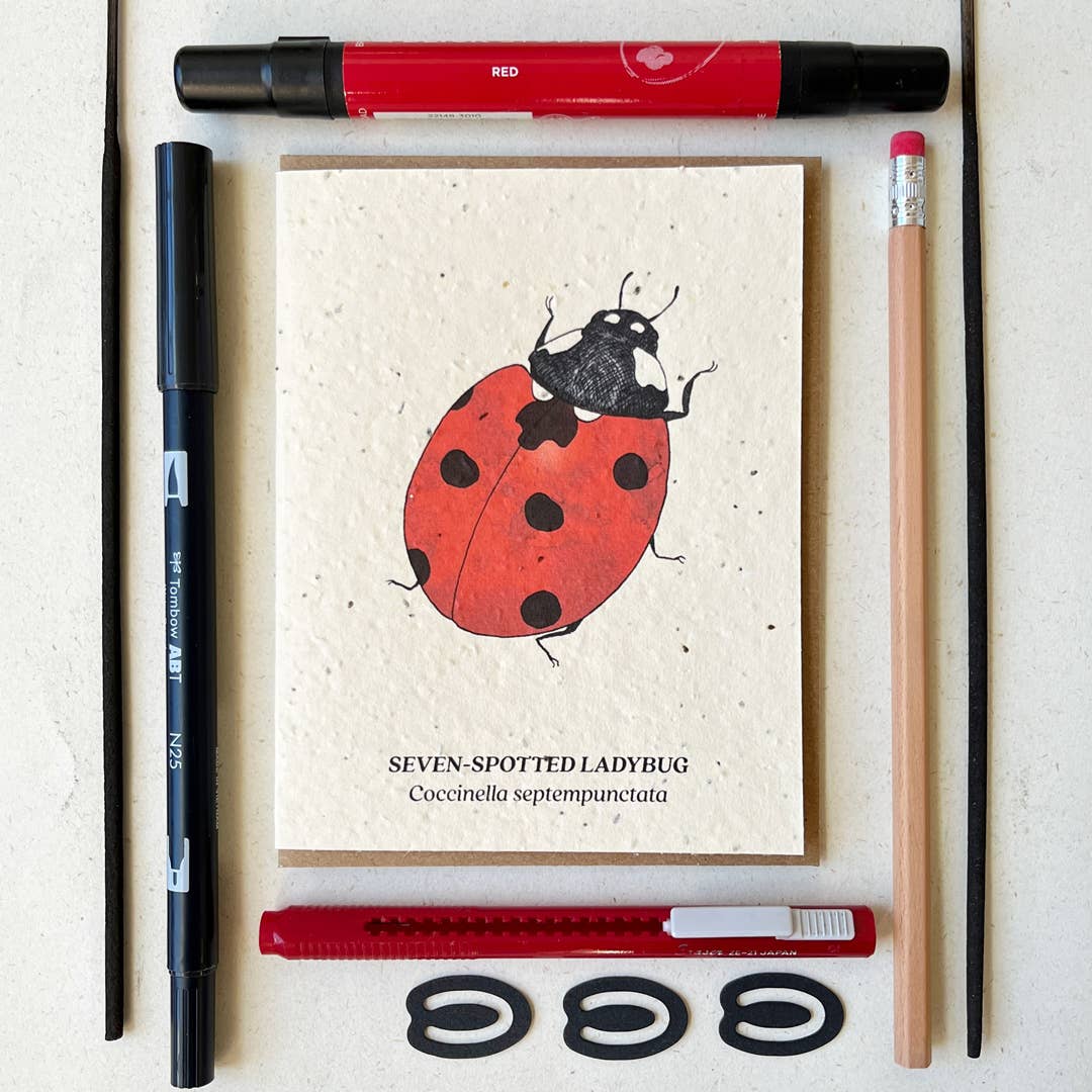 Small Victories - Seven - Spotted Ladybug Plantable Wildflower Seed Card - Dear John