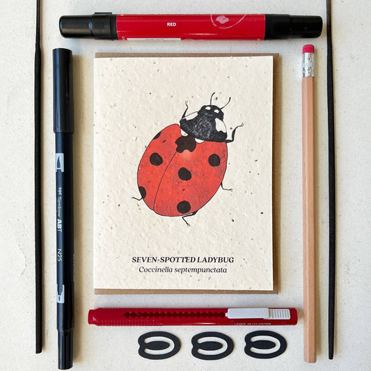 Small Victories - Seven - Spotted Ladybug Plantable Wildflower Seed Card - Dear John