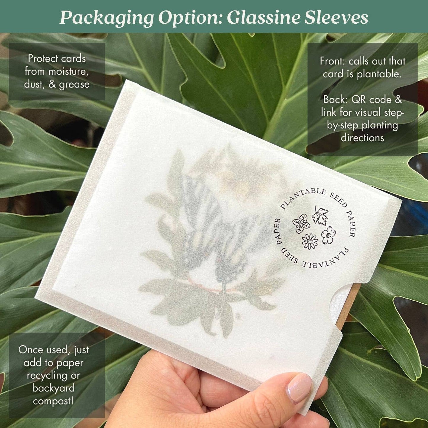 Small Victories - Seven - Spotted Ladybug Plantable Wildflower Seed Card - Dear John