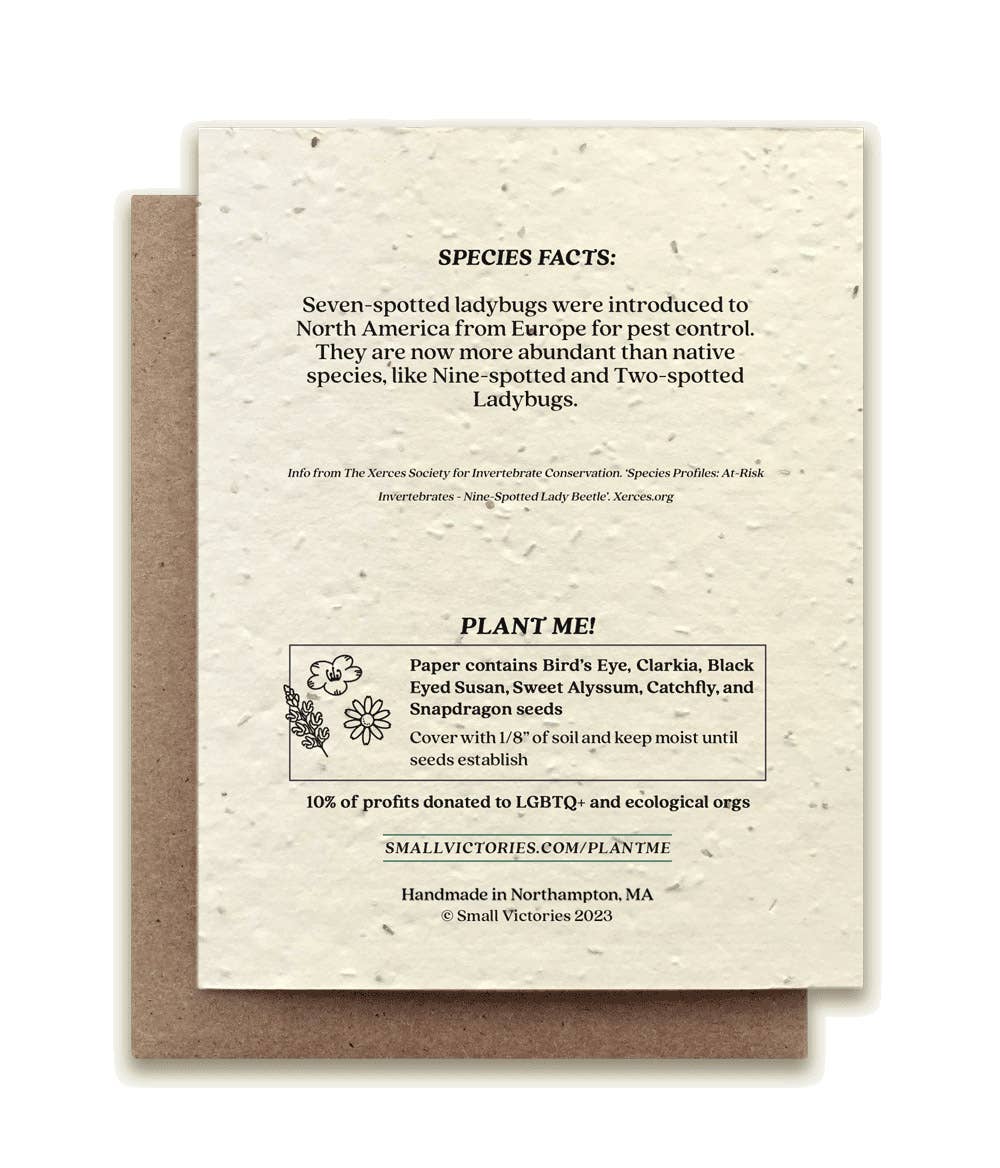 Small Victories - Seven - Spotted Ladybug Plantable Wildflower Seed Card - Dear John