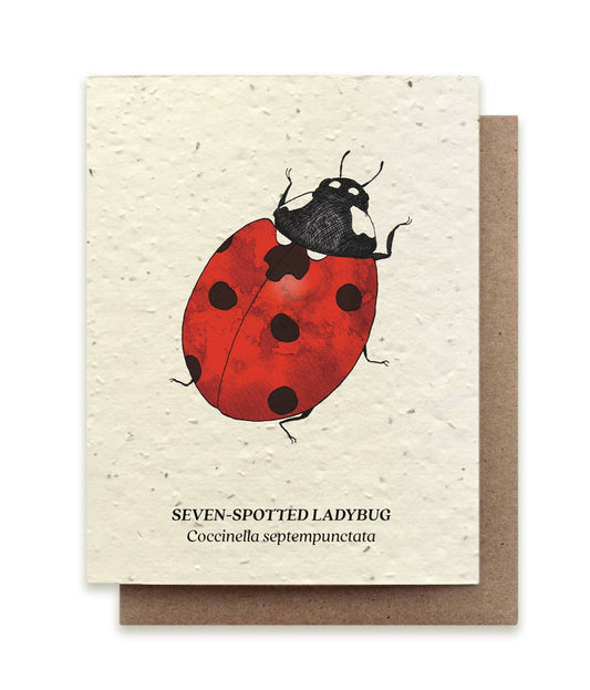 Small Victories - Seven - Spotted Ladybug Plantable Wildflower Seed Card - Dear John