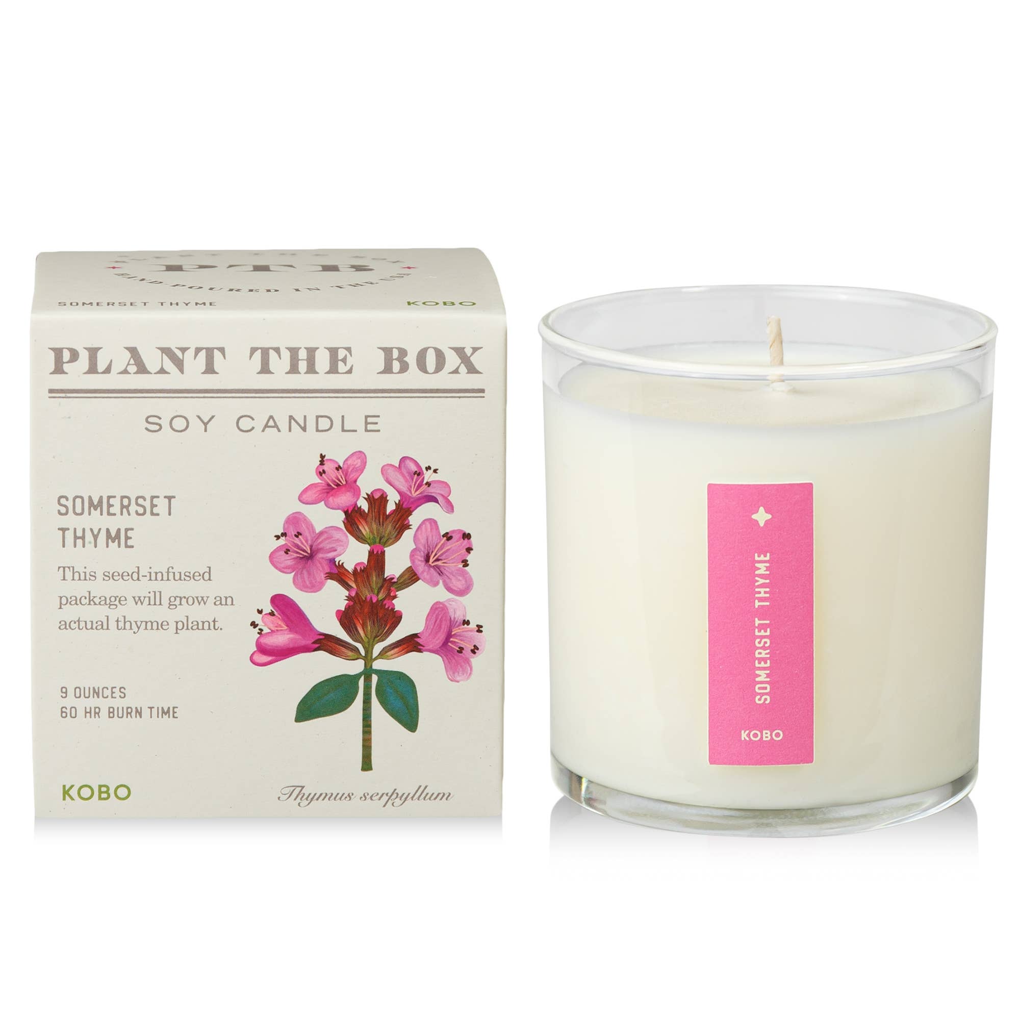 Somerset Thyme - Plant the Box Candle - 9oz. - Dear John