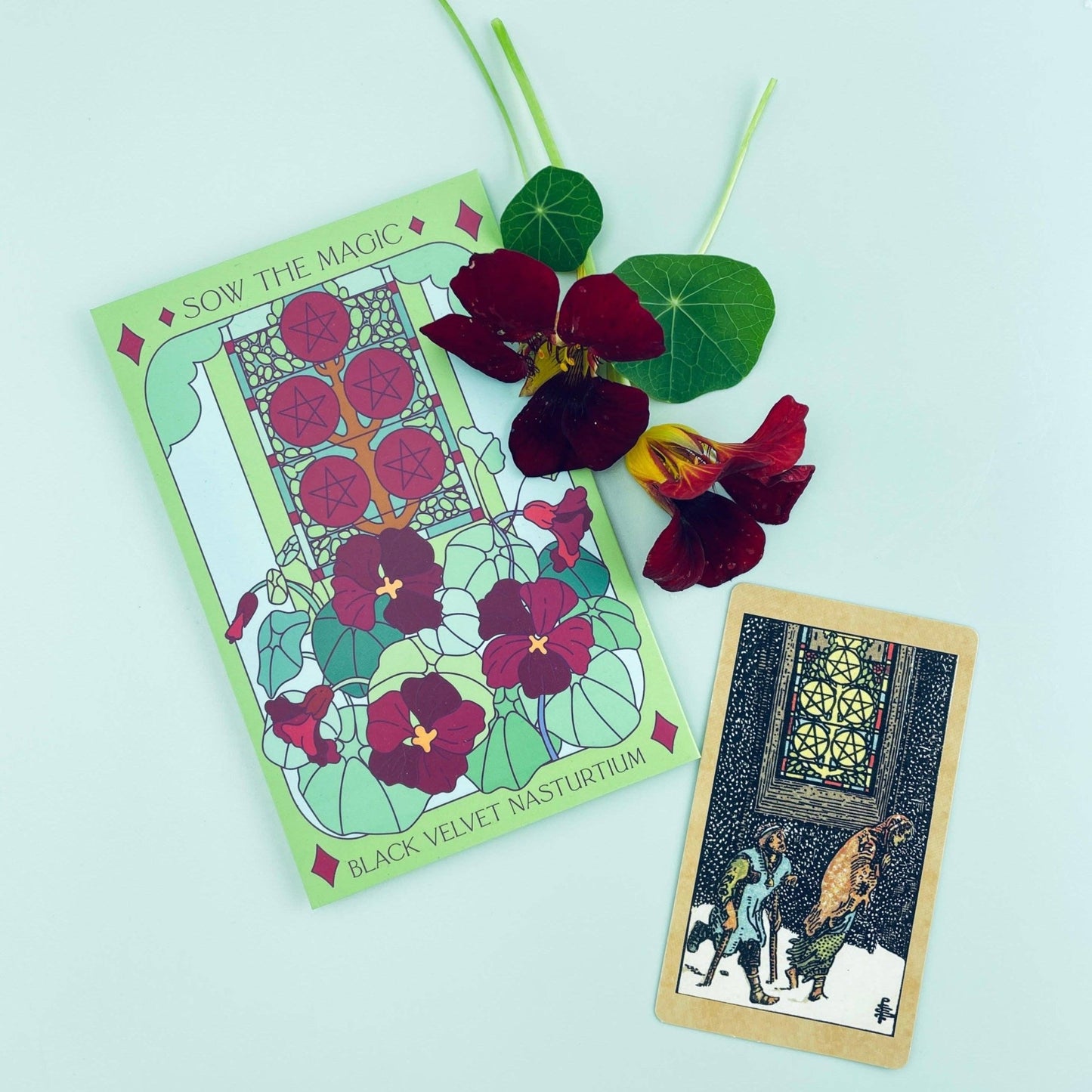 Sow the Magic - Black Velvet Nasturtium Tarot Seed Packet - Dear John
