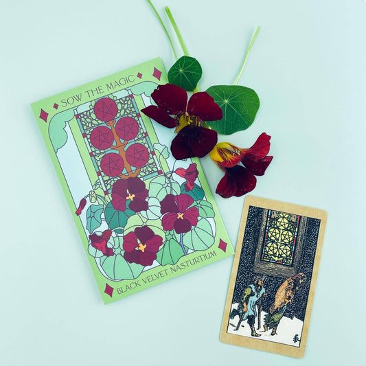 Sow the Magic - Black Velvet Nasturtium Tarot Seed Packet - Dear John