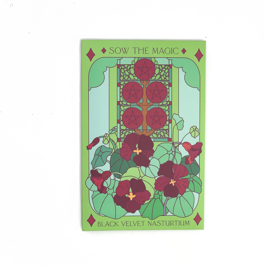 Sow the Magic - Black Velvet Nasturtium Tarot Seed Packet - Dear John