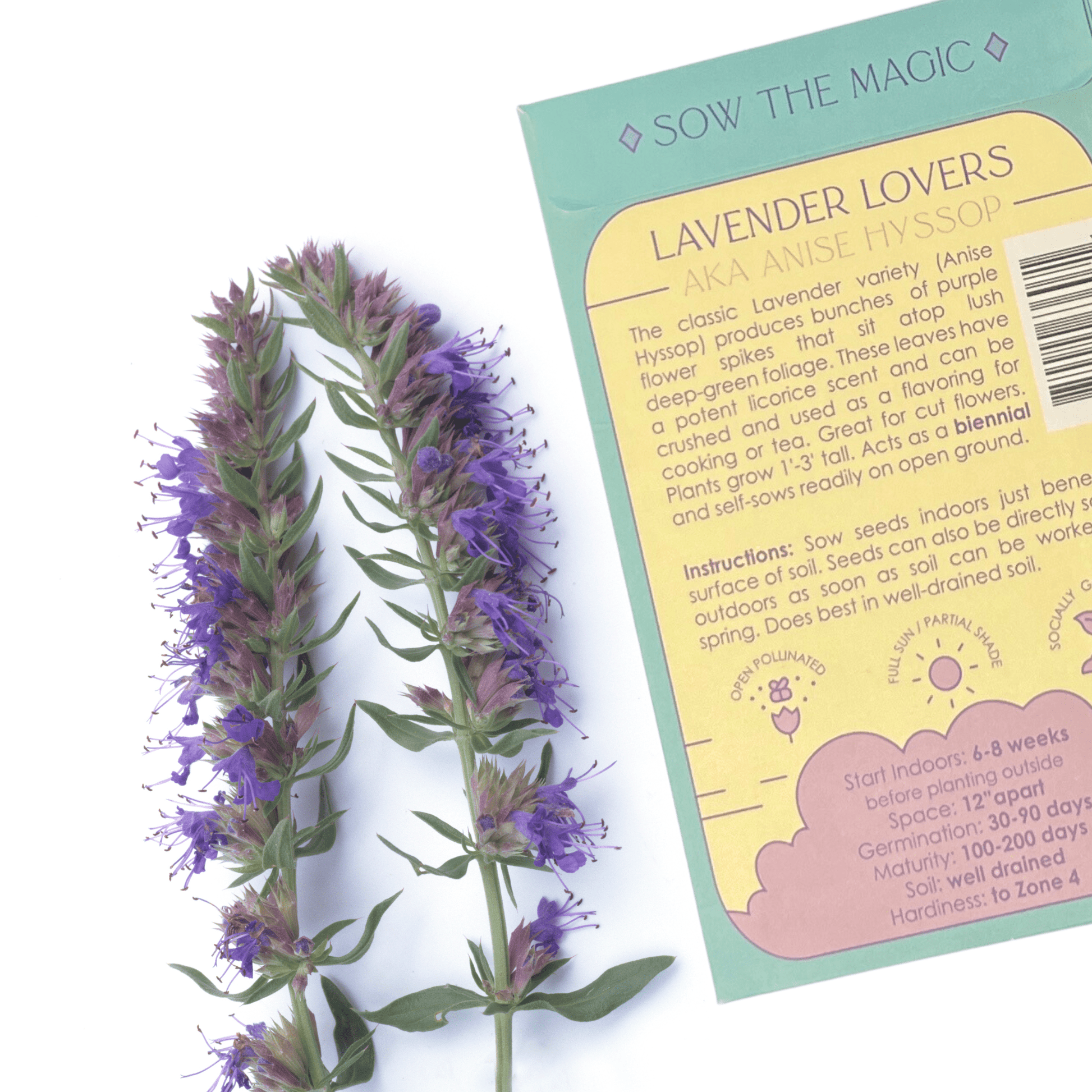 Sow the Magic - Lavender Hyssop Lovers Tarot Seed Packet - Dear John