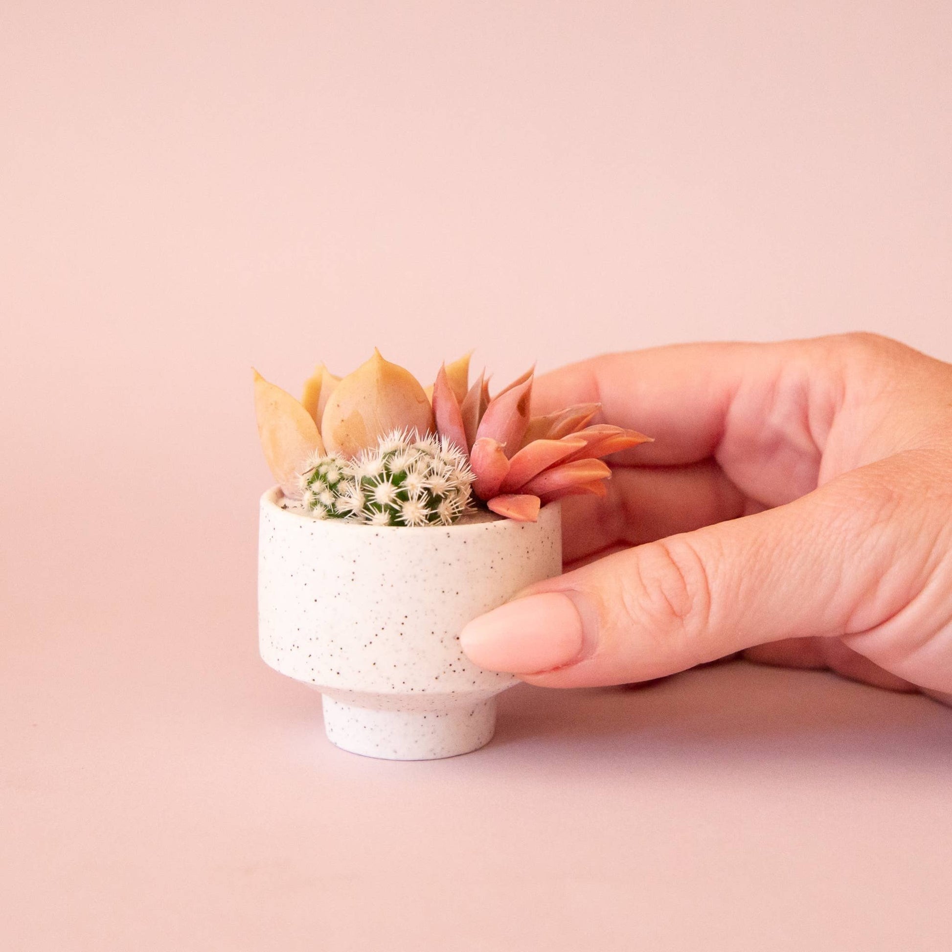Speckle Footed Planter | Mini - Dear John