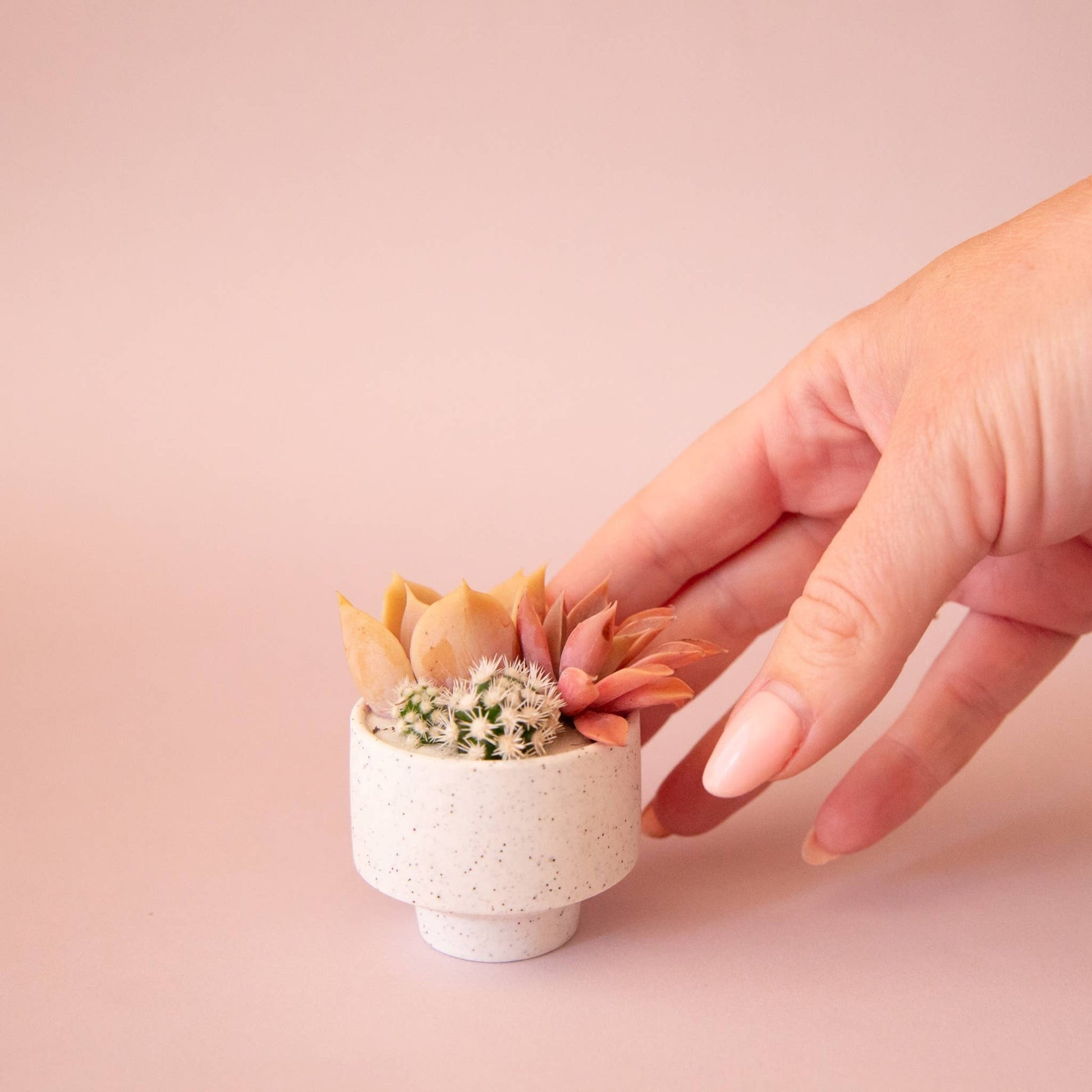 Speckle Footed Planter | Mini - Dear John