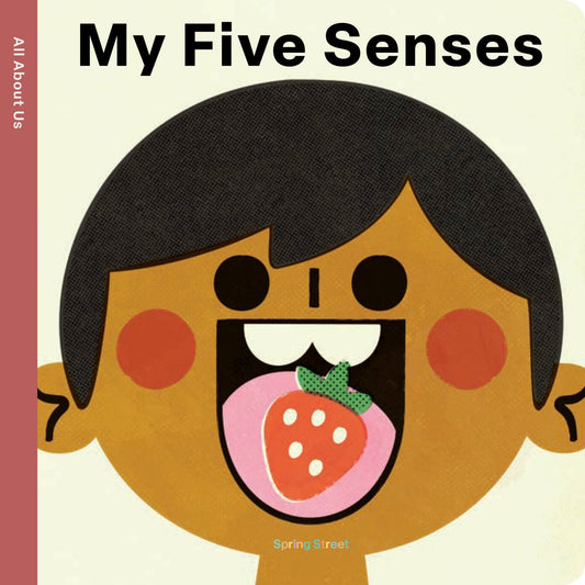 Spring Street All About Us: My Five Senses by Boxer Books - Dear John