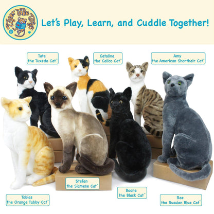 Stefan The Siamese Cat | 13 Inch Stuffed Animal Plush - Dear John