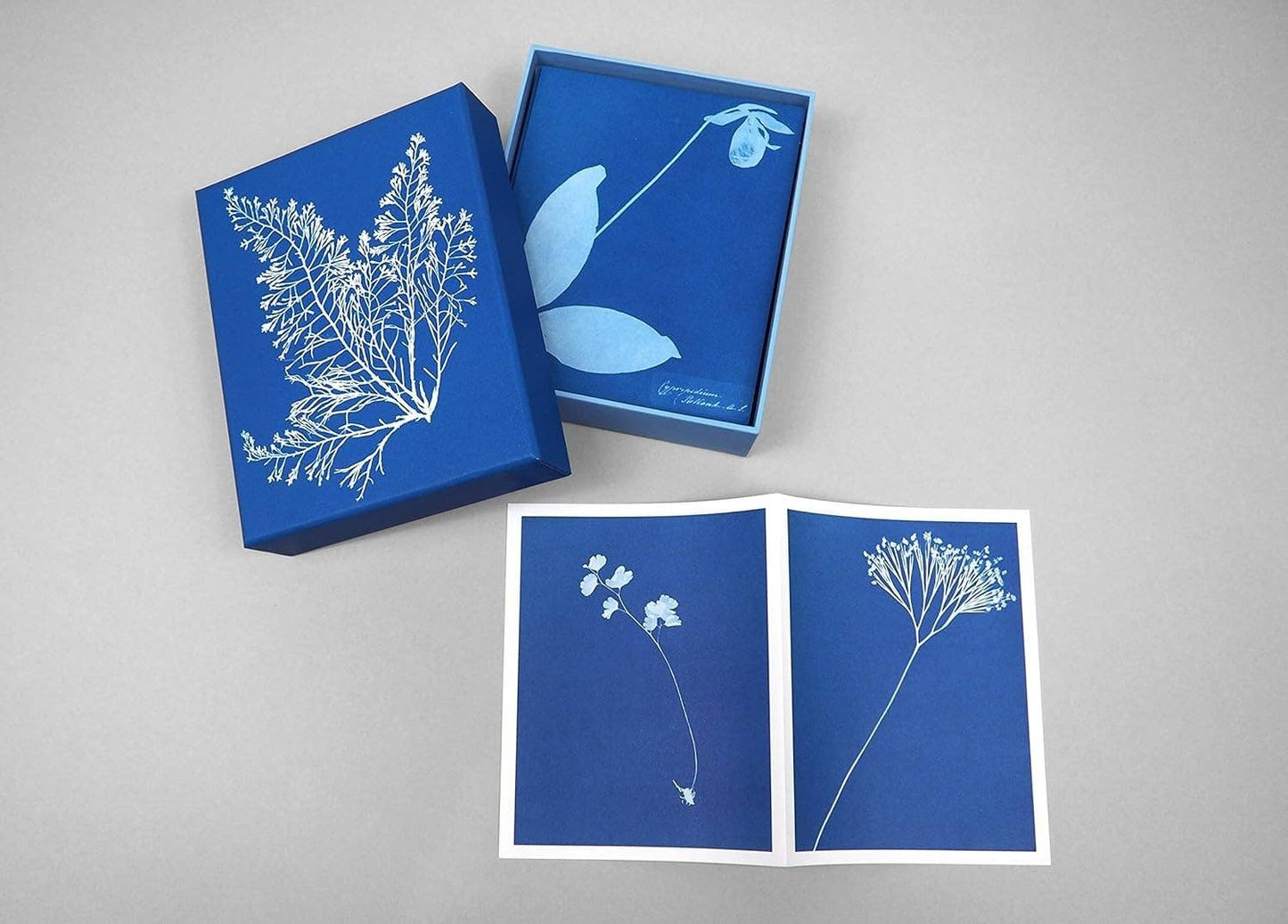 Sunprint Notecards - Dear John