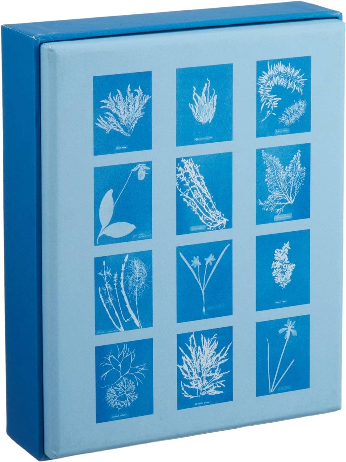 Sunprint Notecards - Dear John