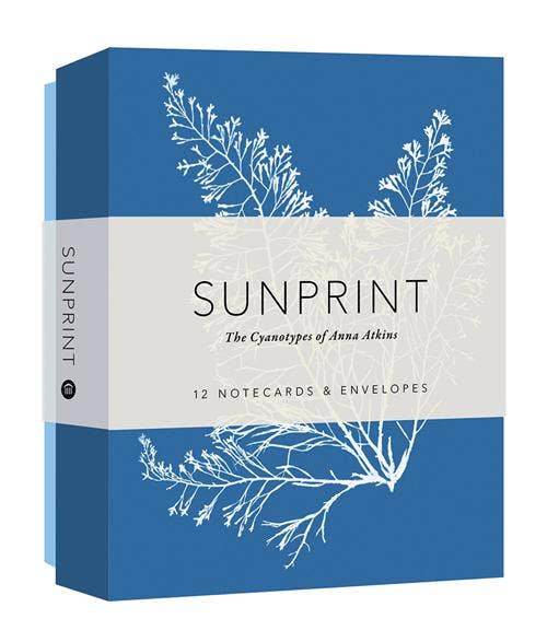 Sunprint Notecards - Dear John