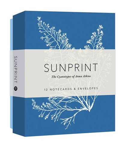 Sunprint Notecards - Dear John