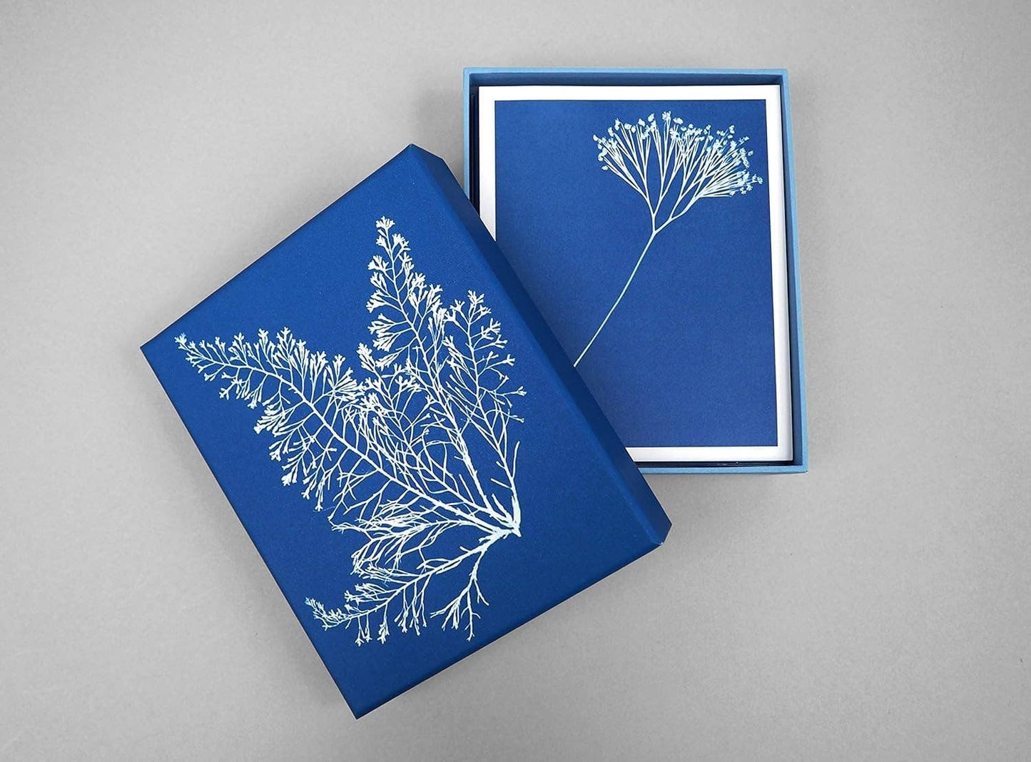 Sunprint Notecards - Dear John