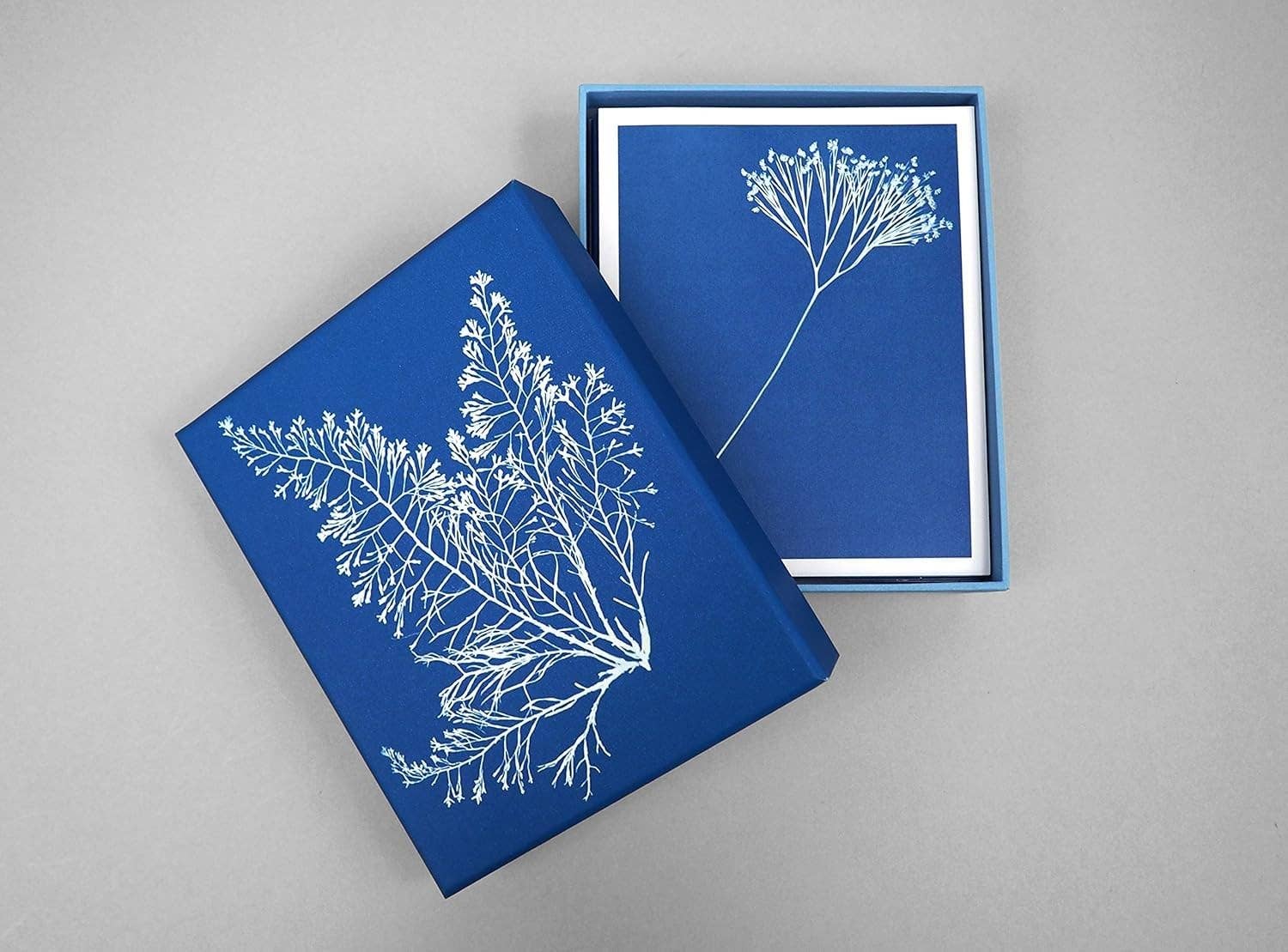 Sunprint Notecards - Dear John