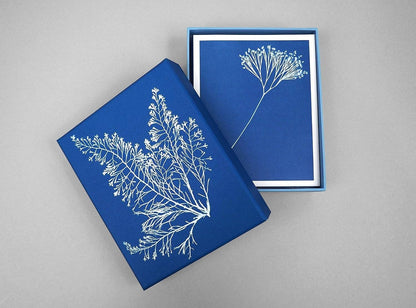 Sunprint Notecards - Dear John