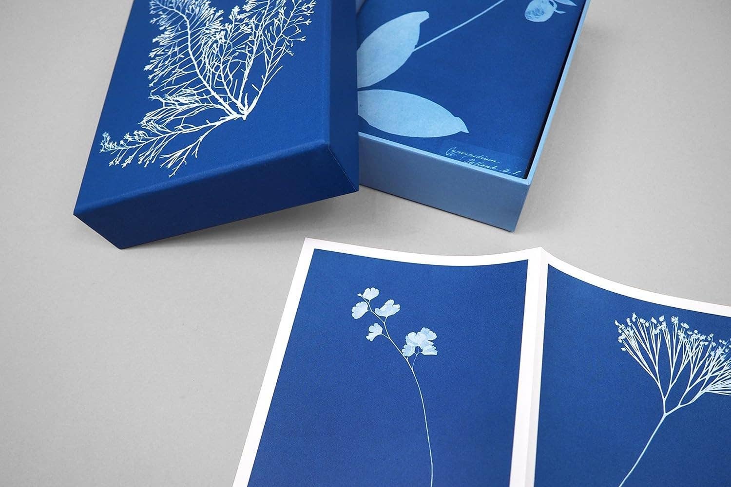 Sunprint Notecards - Dear John