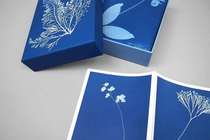 Sunprint Notecards - Dear John