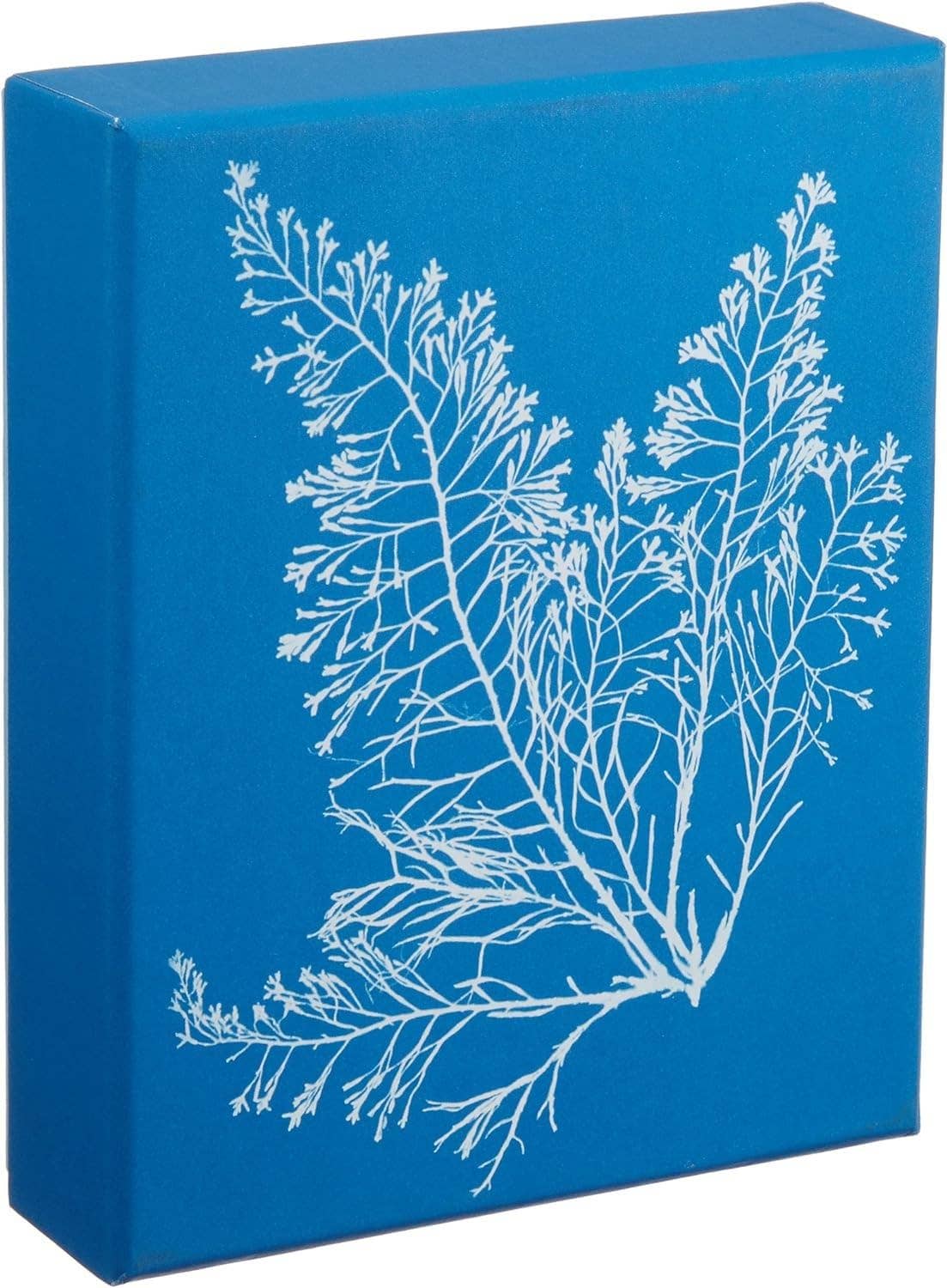 Sunprint Notecards - Dear John