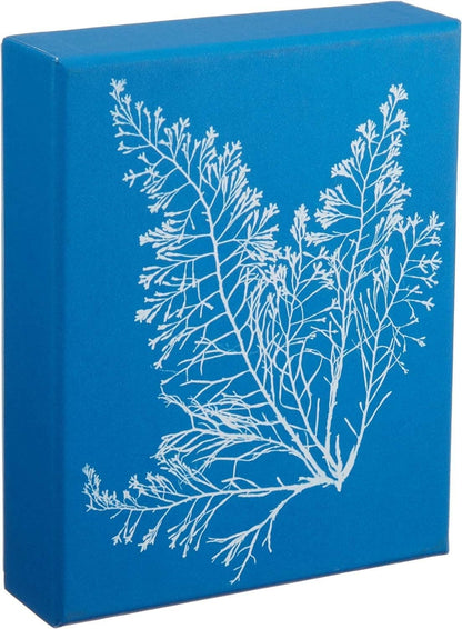 Sunprint Notecards - Dear John