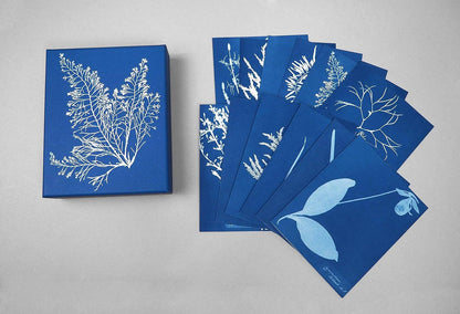 Sunprint Notecards - Dear John
