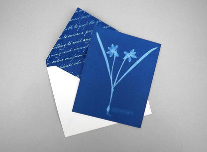 Sunprint Notecards - Dear John