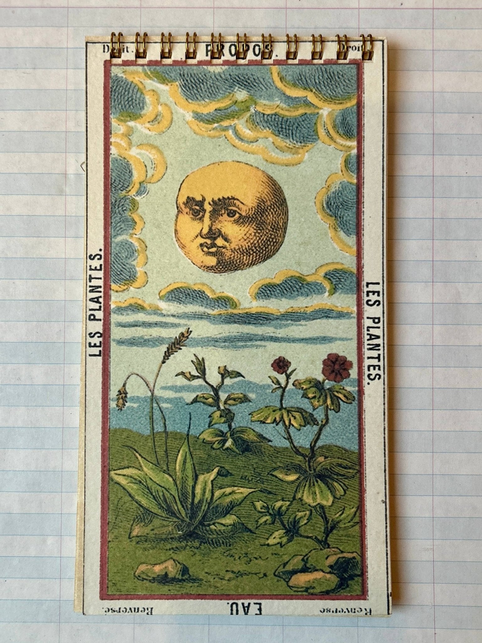 Tarot Card Notebooks - Dear John