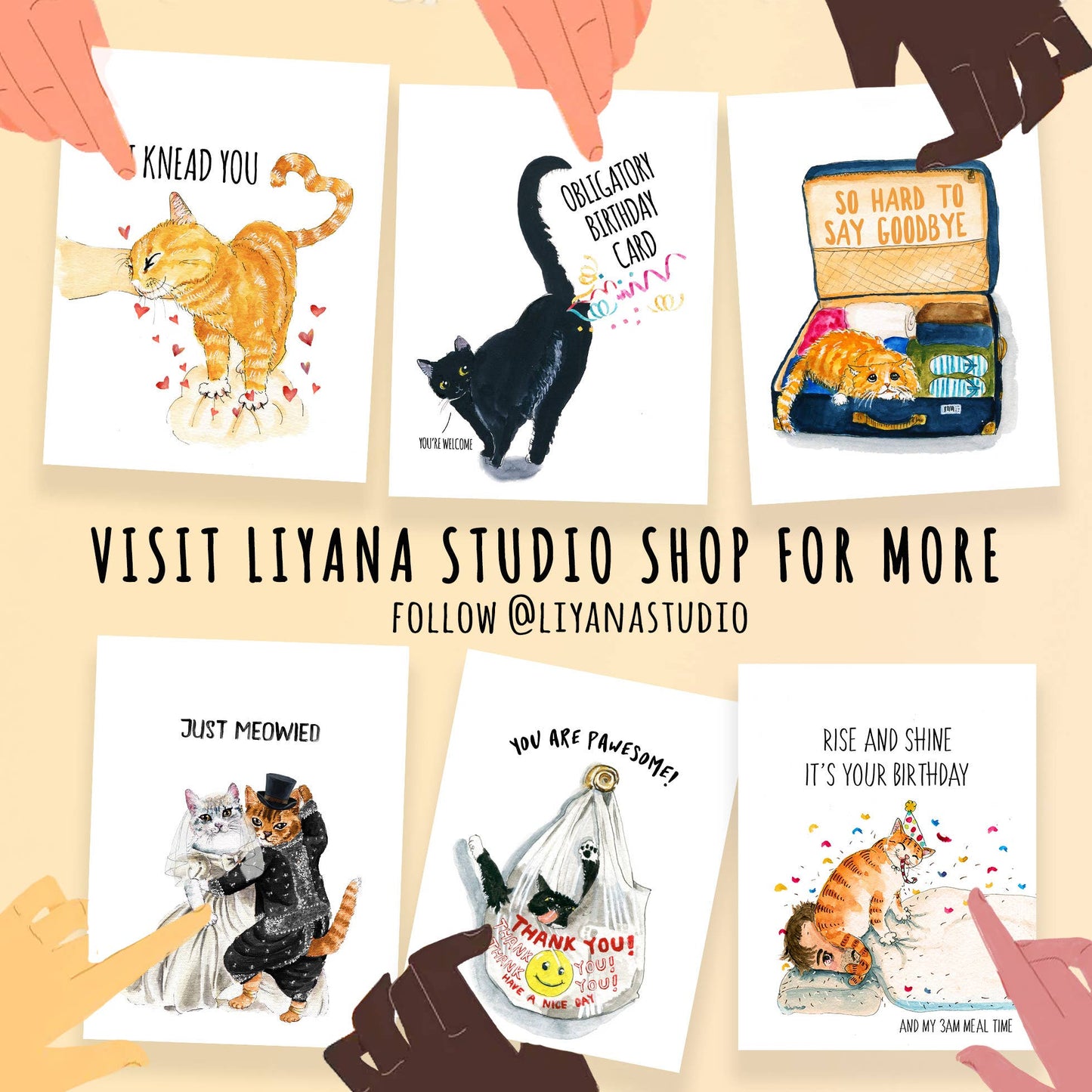 Thank You Bag Cat - Funny Thank You Card - Dear John