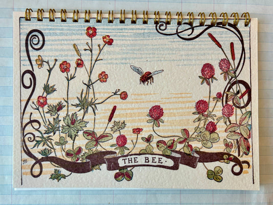 The Bee Notebook - Dear John