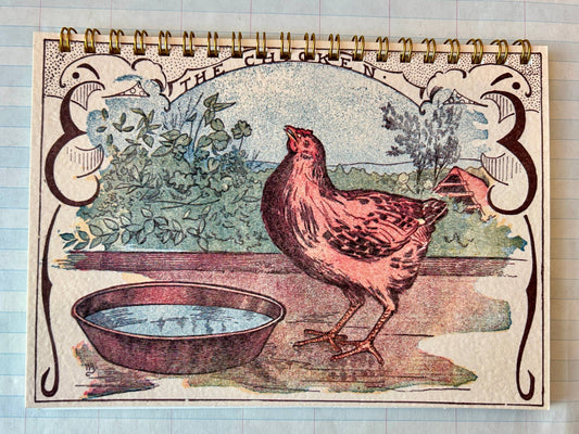 The Chicken Notebook - Dear John