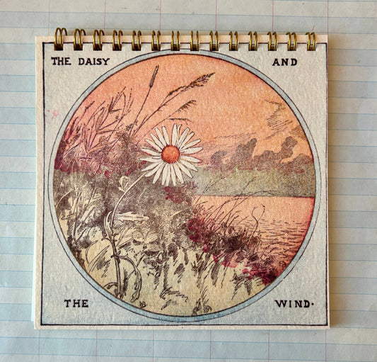 The Daisy and the Wind Notebook - Dear John