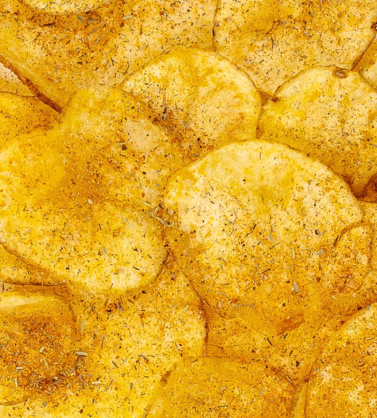 The Gourmet Chip Company - New Orlean's Spicy Cajun Thick Cut Potato Chips - Case of 12 - Dear John