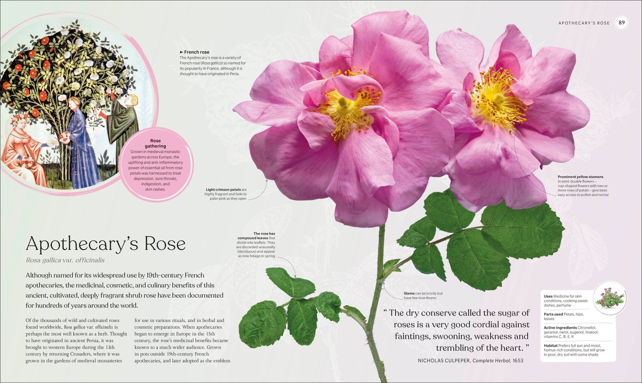 The Herb Book - Dear John