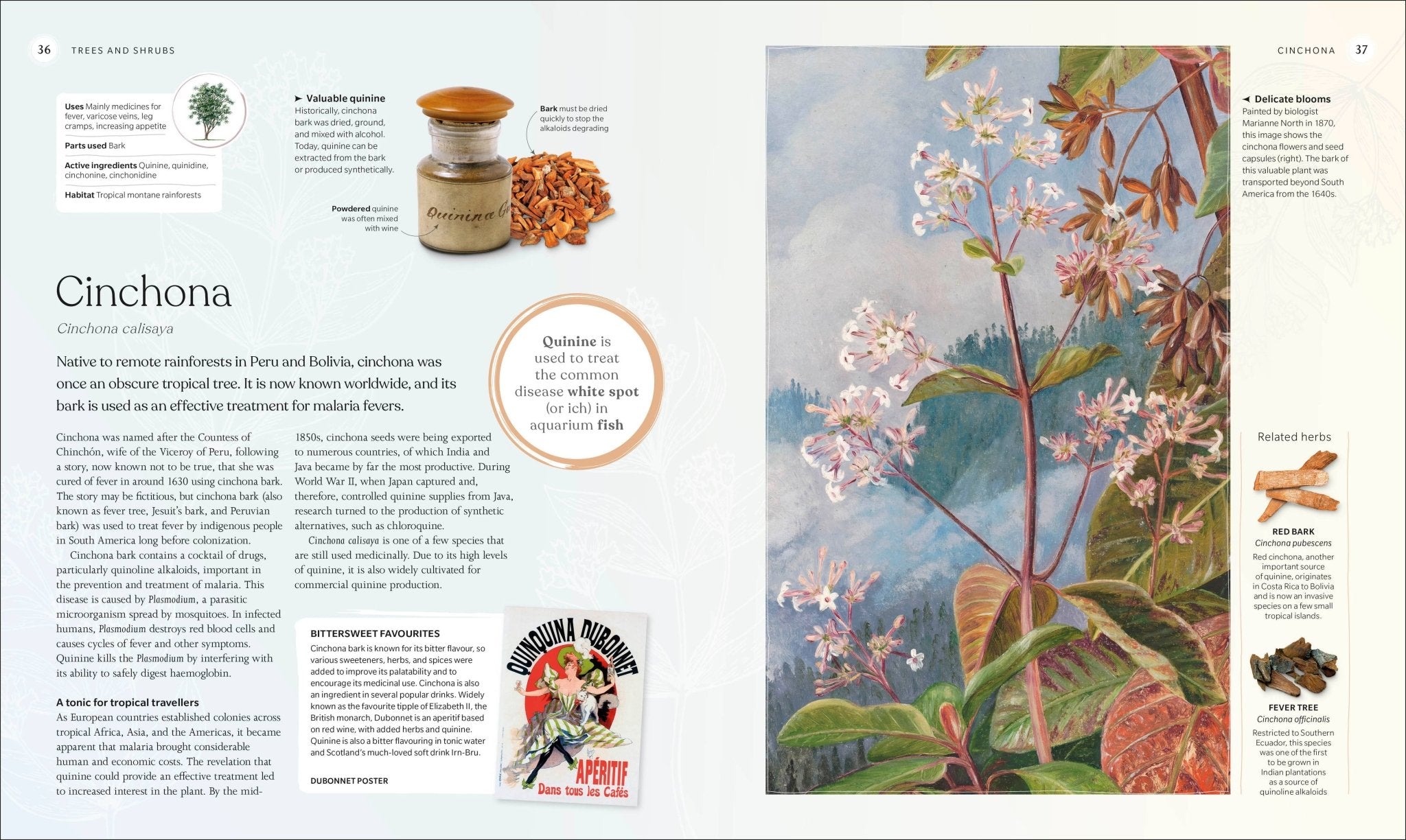 The Herb Book - Dear John