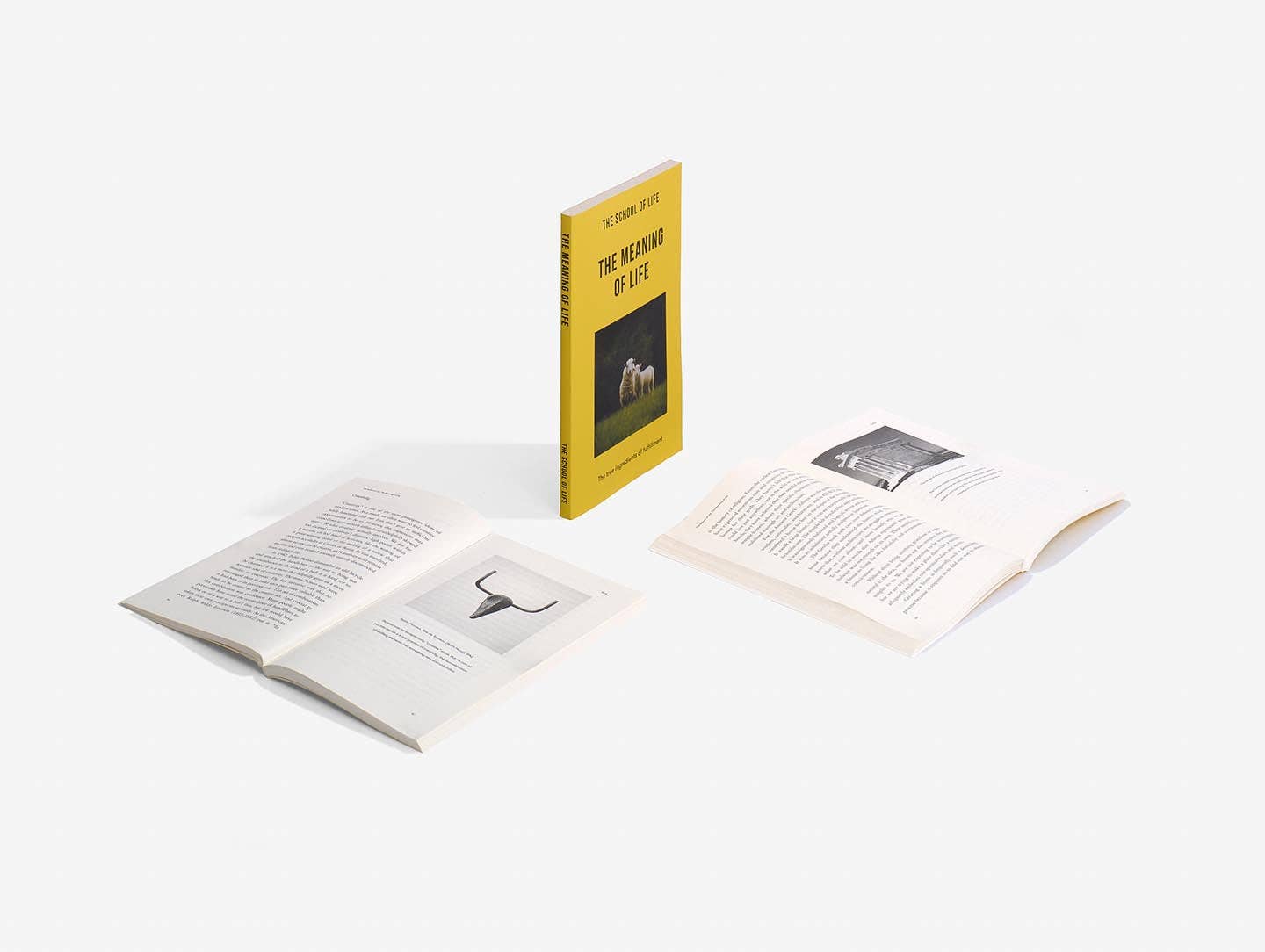 The Meaning of Life - Dear John