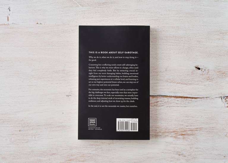 The Mountain Is You - book - Dear John