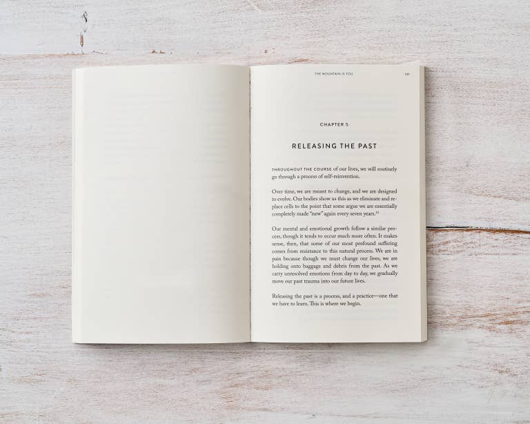 The Mountain Is You - book - Dear John