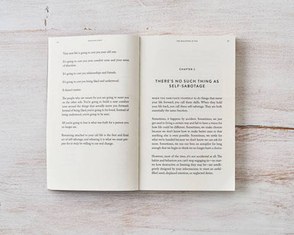 The Mountain Is You - book - Dear John