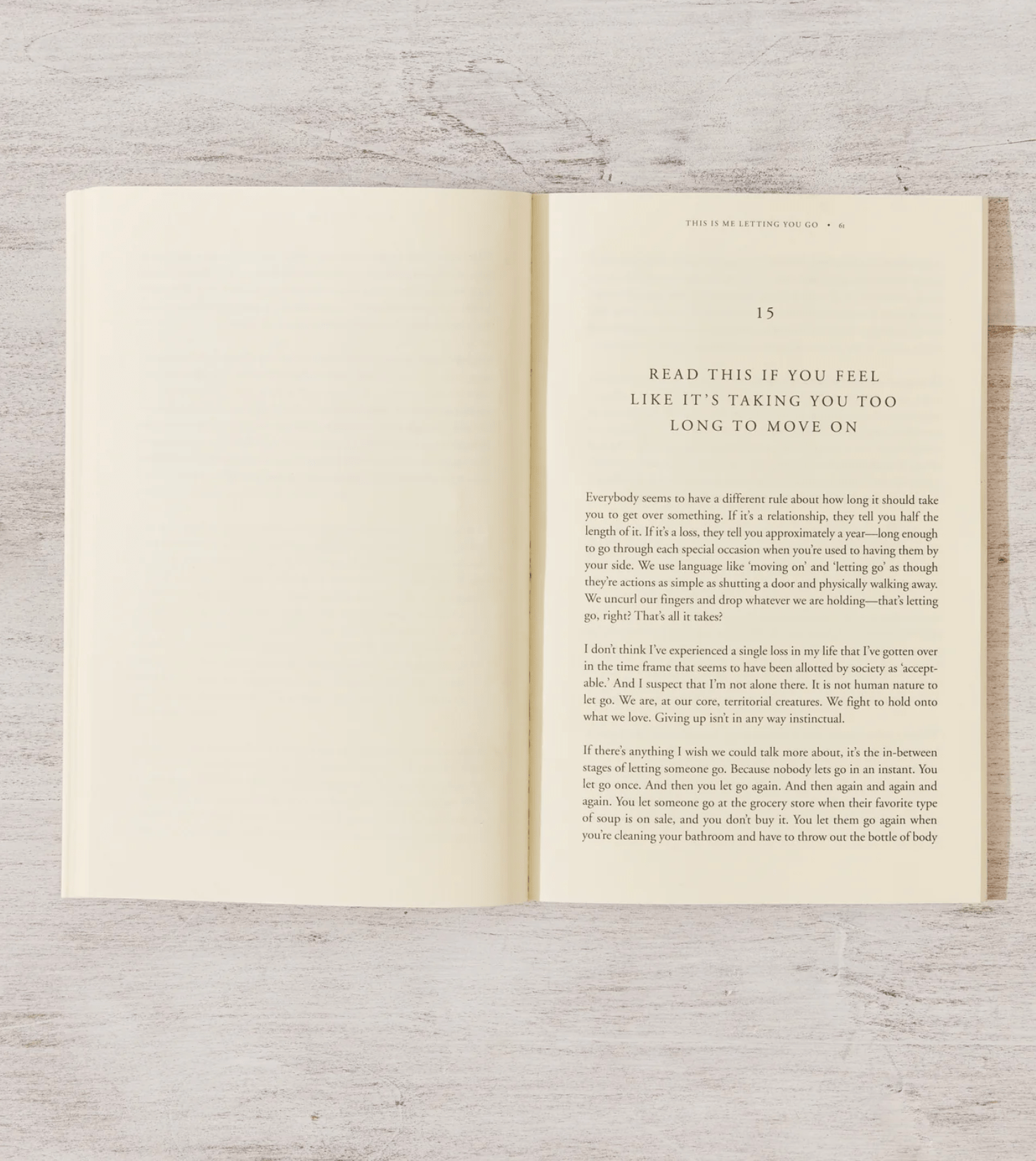 This Is Me Letting You Go - book - Dear John