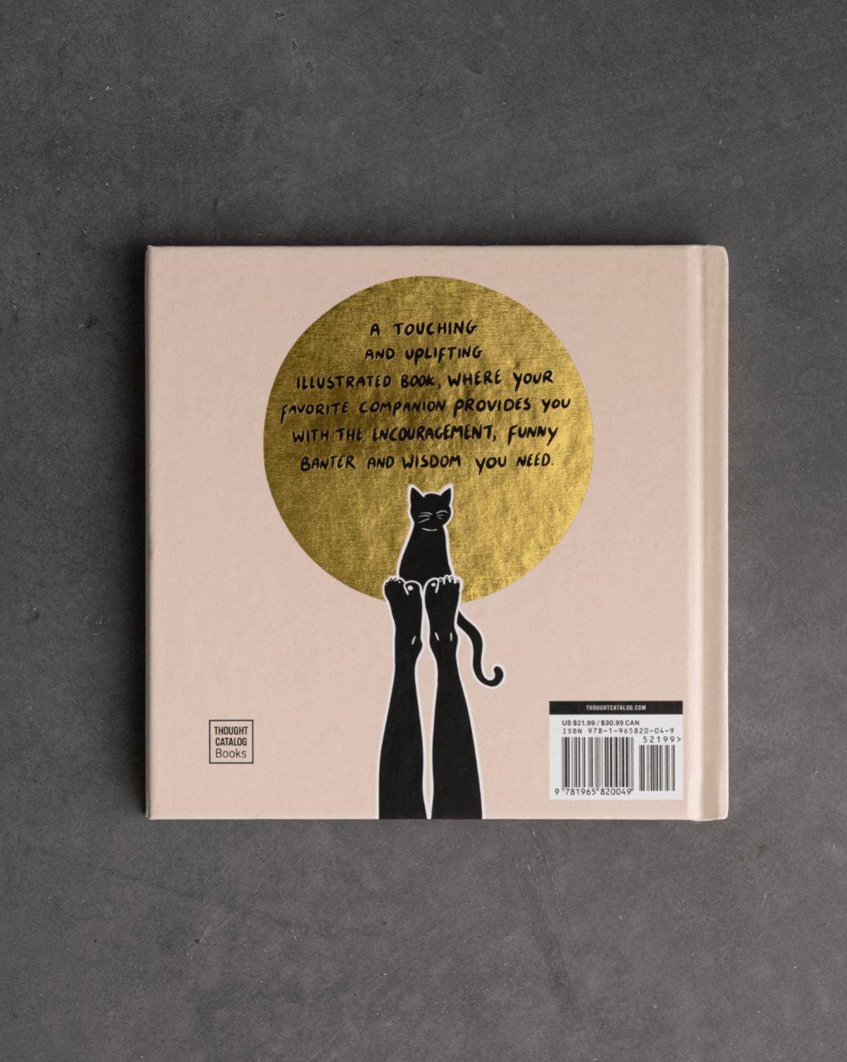Thought Catalog - Conversations With My Cat - illustrated book - Dear John