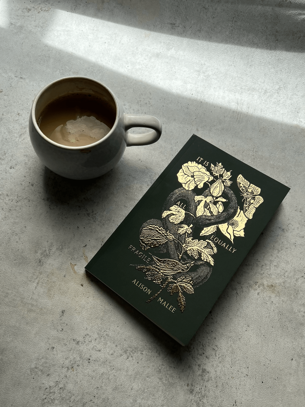 Thought Catalog - It Is All Equally Fragile - poetry book - Dear John