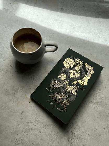Thought Catalog - It Is All Equally Fragile - poetry book - Dear John