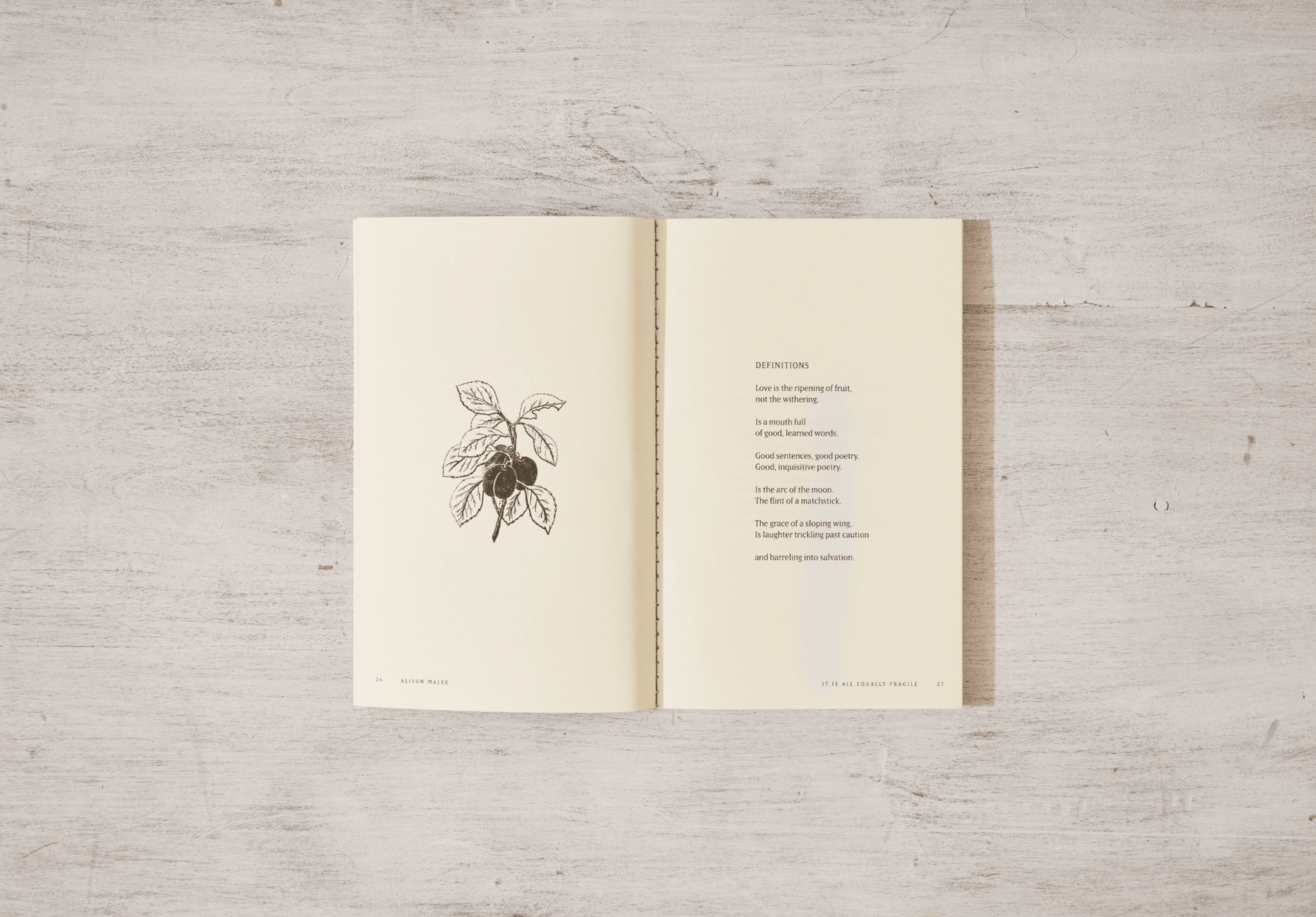 Thought Catalog - It Is All Equally Fragile - poetry book - Dear John