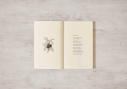 Thought Catalog - It Is All Equally Fragile - poetry book - Dear John