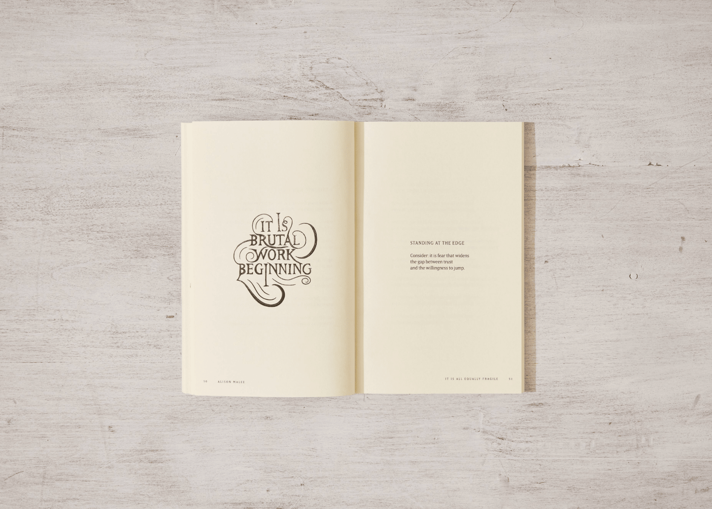 Thought Catalog - It Is All Equally Fragile - poetry book - Dear John